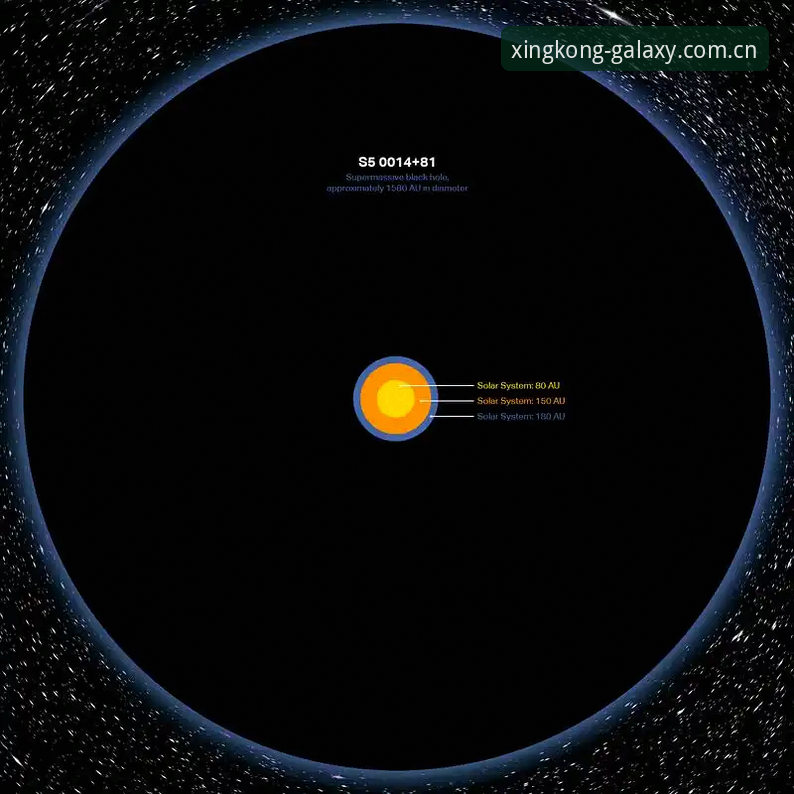 星空中国官方APP注册 揭秘:星空中国官方APP注册背后那些你不知道的数字真相